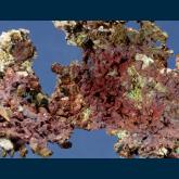 RG0510 Copper with Cuprite from Inspiration Mine, Globe-Miami District, near Globe, Gila County, Arizona, USA