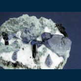 DGM-01 Benitoite with Neptunite from Dallas Gem Mine, New Idria District, Diablo Range, San Benito Co., California, USA