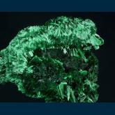 TSM-06 Malachite from Mashamba West Mine, Kolwezi District, Katanga Copper Crescent, Katanga (Shaba), Democratic Republic of Congo (Zaïre)