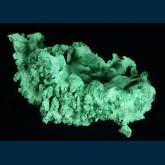 TSM-07 Malachite from Mashamba West Mine, Kolwezi District, Katanga Copper Crescent, Katanga (Shaba), Democratic Republic of Congo (Zaïre)