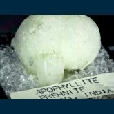 TN356 Apophyllite and Prehnite from Pune (Poonah) District, Lonavala, Maharashtra, India