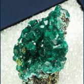 PE522 Dioptase from Reneville Mine, Reneville, Kindanba District, Pool Dept., Republic of Congo