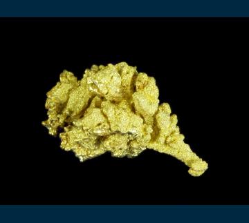 T-119 Gold from Dixie Mine, Lamartine District, Clear Creek Co., Colorado, USA