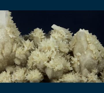 IDCO1 Calcite on Quartz from Idarado Mine, Ouray District, Telluride, San Miguel County, Colorado, USA