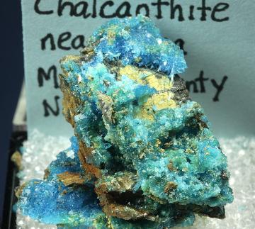 TN151 Chalcanthite from near Mina, Mineral Co., Nevada, USA