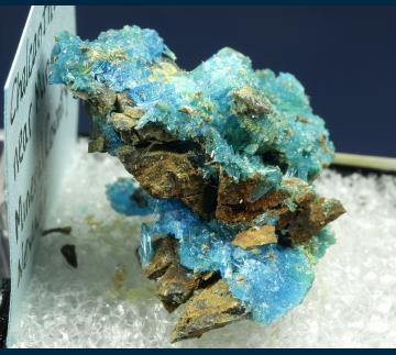 TN151 Chalcanthite from near Mina, Mineral Co., Nevada, USA