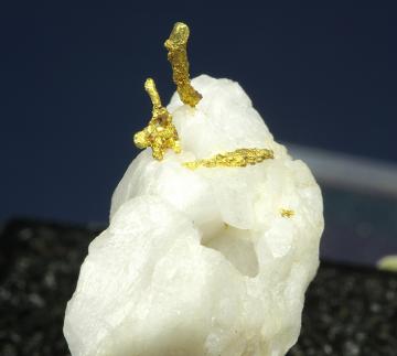 TN155 Gold from Grass Valley, Nevada Co., California, USA