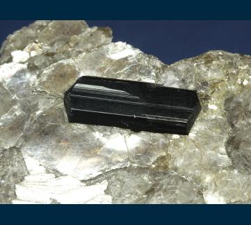 CMS143 Schorl in Muscovite with Clevelandite from Keene Mica Products Mine, Gilsum, Cheshire County, New Hampshire, USA