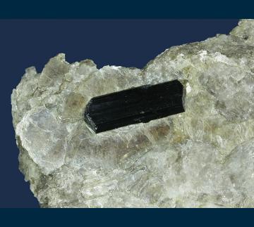 CMS143 Schorl in Muscovite with Clevelandite from Keene Mica Products Mine, Gilsum, Cheshire County, New Hampshire, USA