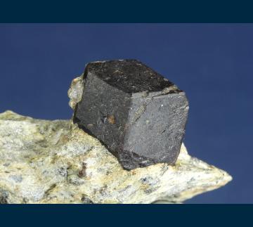 RG0954 Almandine garnet with Staurolite from Green's Farm, Southbury, New Haven County, Connecticut, USA