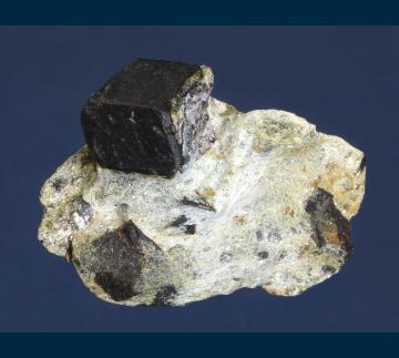 RG0954 Almandine garnet with Staurolite from Green's Farm, Southbury, New Haven County, Connecticut, USA