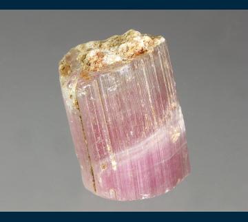 TN272 Elbaite tourmaline from Himalaya Mine, Mesa Grande District, Mesa Grande, San Diego County, California, USA